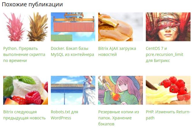 Похожие публикации (без плагина) в WordPress